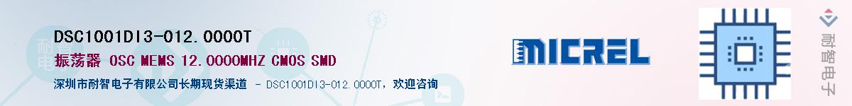 DSC1001DI3-012.0000TӦ-ǵ