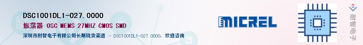 DSC1001DL1-027.0000Ӧ-ǵ