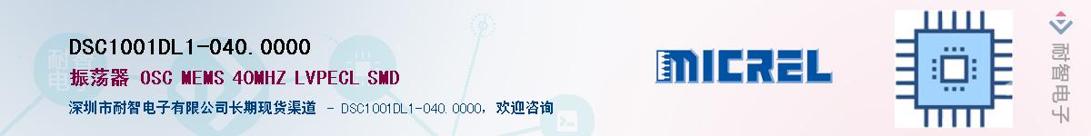 DSC1001DL1-040.0000Ӧ-ǵ