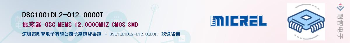 DSC1001DL2-012.0000TӦ-ǵ