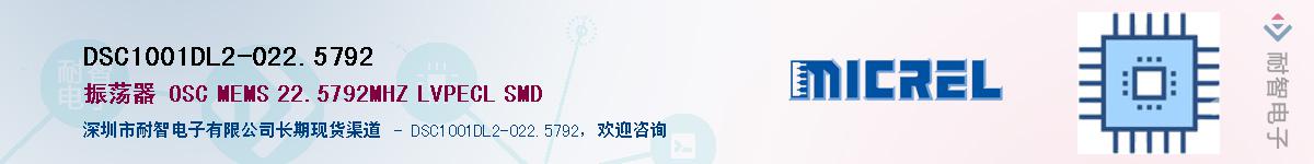 DSC1001DL2-022.5792Ӧ-ǵ