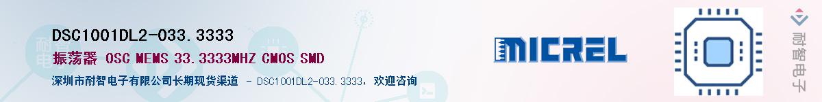 DSC1001DL2-033.3333Ӧ-ǵ