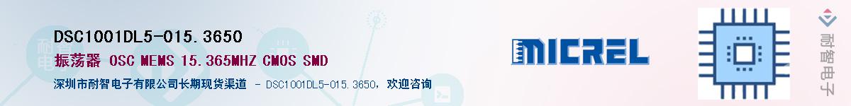 DSC1001DL5-015.3650Ӧ-ǵ