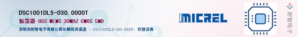 DSC1001DL5-030.0000TӦ-ǵ