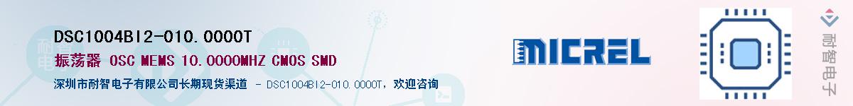 DSC1004BI2-010.0000TӦ-ǵ