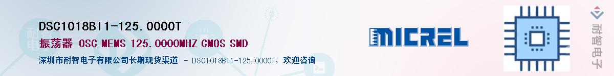 DSC1018BI1-125.0000TӦ-ǵ