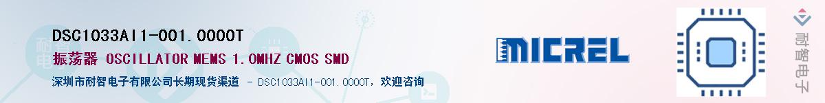 DSC1033AI1-001.0000TӦ-ǵ