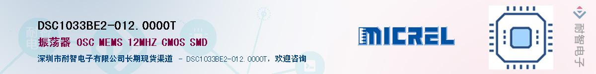 DSC1033BE2-012.0000TӦ-ǵ