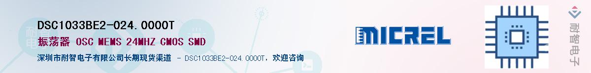 DSC1033BE2-024.0000TӦ-ǵ