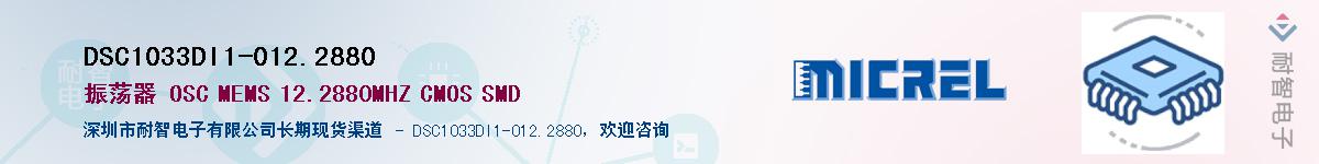 DSC1033DI1-012.2880Ӧ-ǵ