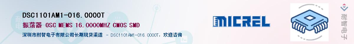 DSC1101AM1-016.0000TӦ-ǵ