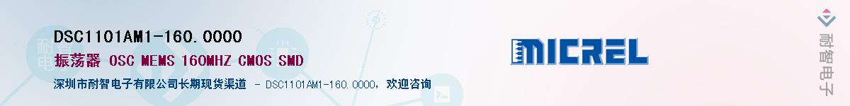 DSC1101AM1-160.0000Ӧ-ǵ