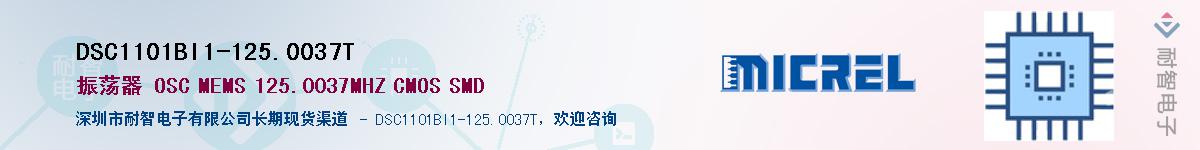 DSC1101BI1-125.0037TӦ-ǵ