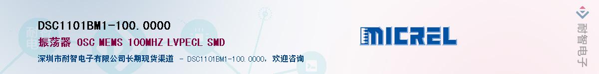 DSC1101BM1-100.0000Ӧ-ǵ