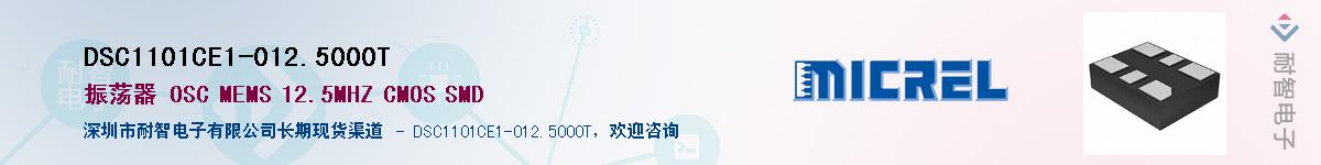 DSC1101CE1-012.5000TӦ-ǵ