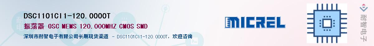 DSC1101CI1-120.0000TӦ-ǵ