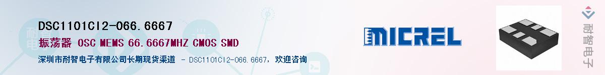 DSC1101CI2-066.6667��Ӧ��-���ǵ���