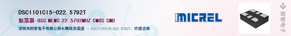 DSC1101CI5-022.5792TӦ-ǵ