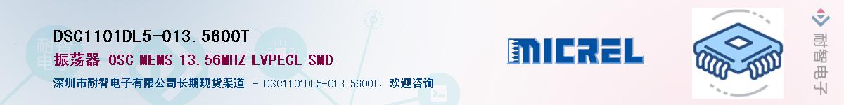 DSC1101DL5-013.5600TӦ-ǵ