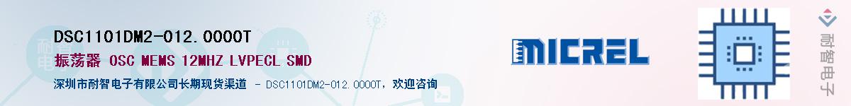 DSC1101DM2-012.0000TӦ-ǵ