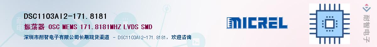 DSC1103AI2-171.8181Ӧ-ǵ