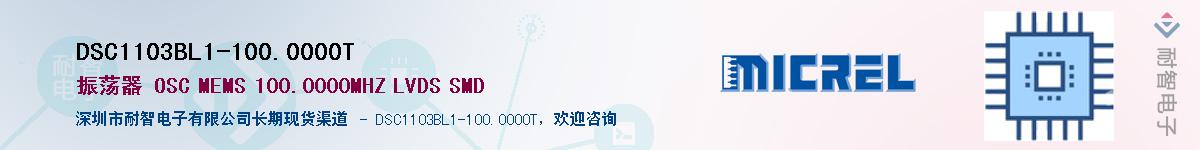 DSC1103BL1-100.0000TӦ-ǵ