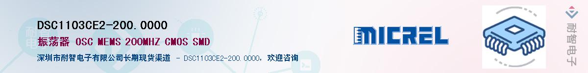 DSC1103CE2-200.0000Ӧ-ǵ