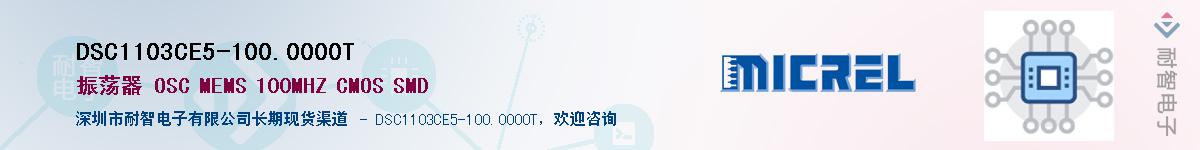 DSC1103CE5-100.0000TӦ-ǵ