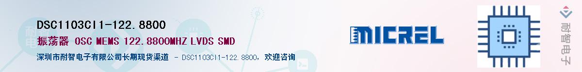 DSC1103CI1-122.8800Ӧ-ǵ