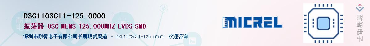 DSC1103CI1-125.0000Ӧ-ǵ