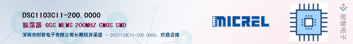 DSC1103CI1-200.0000Ӧ-ǵ