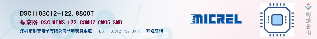 DSC1103CI2-122.8800TӦ-ǵ