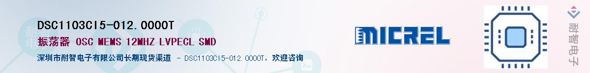 DSC1103CI5-012.0000TӦ-ǵ