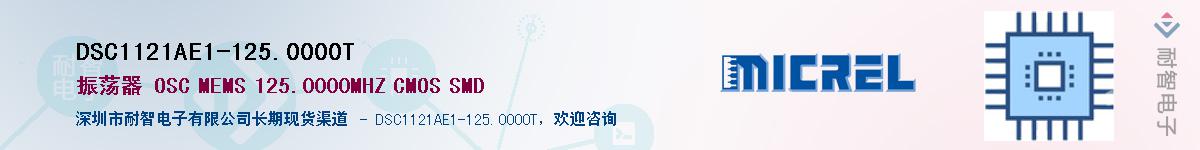 DSC1121AE1-125.0000TӦ-ǵ