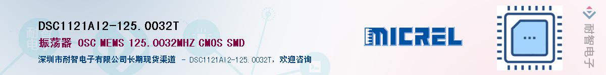 DSC1121AI2-125.0032TӦ-ǵ