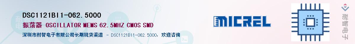 DSC1121BI1-062.5000Ӧ-ǵ