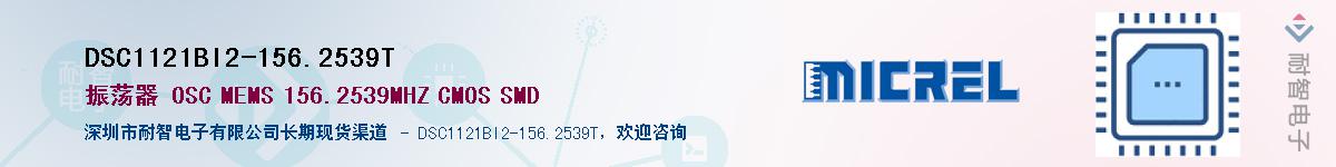 DSC1121BI2-156.2539TӦ-ǵ