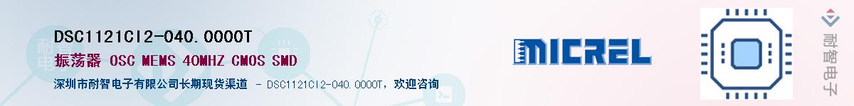 DSC1121CI2-040.0000TӦ-ǵ