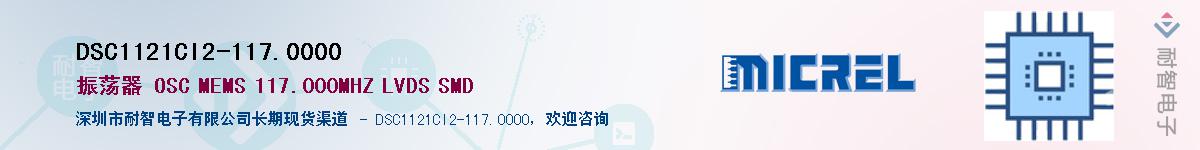 DSC1121CI2-117.0000Ӧ-ǵ