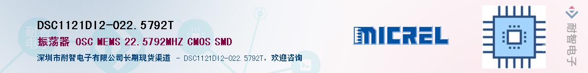 DSC1121DI2-022.5792TӦ-ǵ