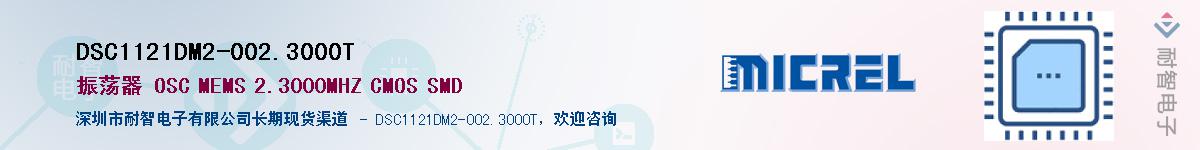 DSC1121DM2-002.3000TӦ-ǵ