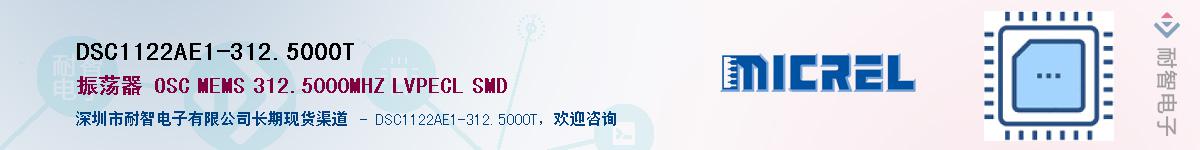 DSC1122AE1-312.5000TӦ-ǵ