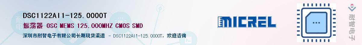 DSC1122AI1-125.0000TӦ-ǵ