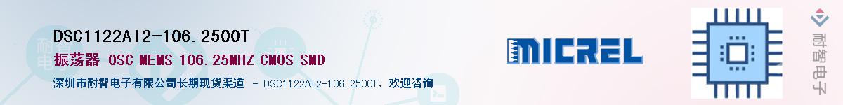 DSC1122AI2-106.2500TӦ-ǵ