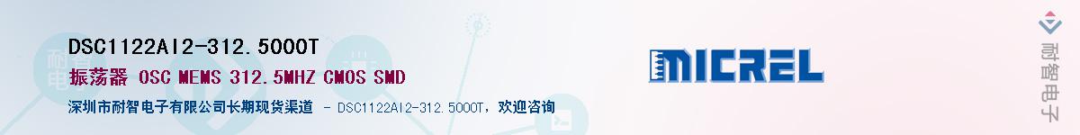 DSC1122AI2-312.5000TӦ-ǵ