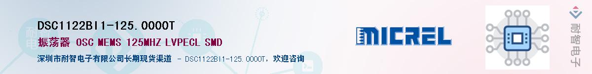 DSC1122BI1-125.0000TӦ-ǵ