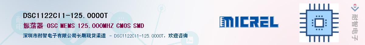 DSC1122CI1-125.0000TӦ-ǵ