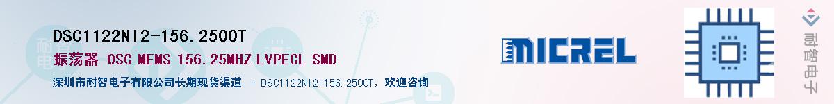 DSC1122NI2-156.2500TӦ-ǵ