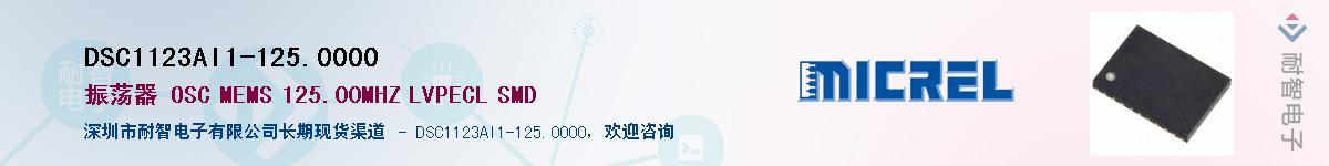 DSC1123AI1-125.0000Ӧ-ǵ