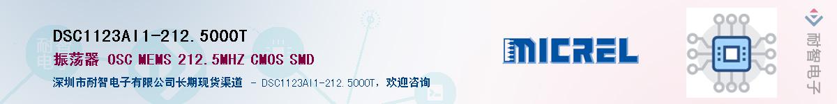 DSC1123AI1-212.5000TӦ-ǵ